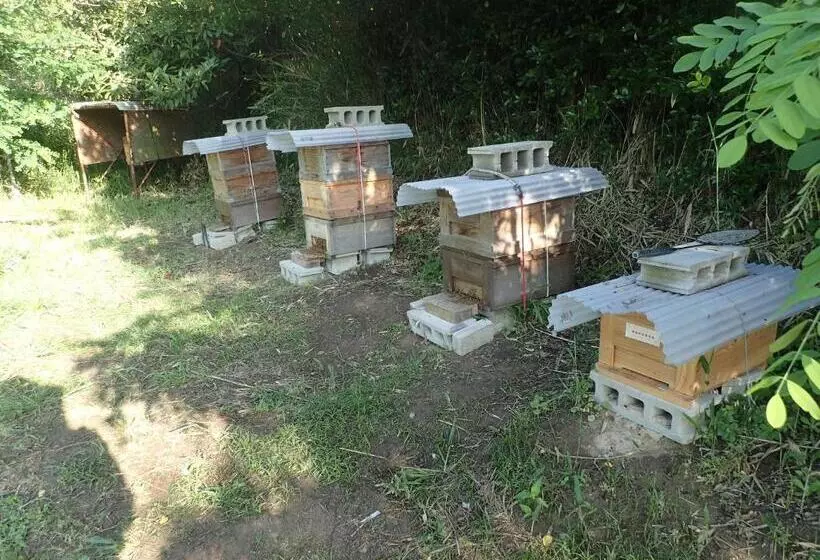 Pension Kuroshiomaru