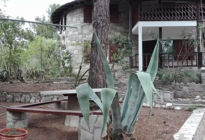 Blue Green Studios Camp Pefkari