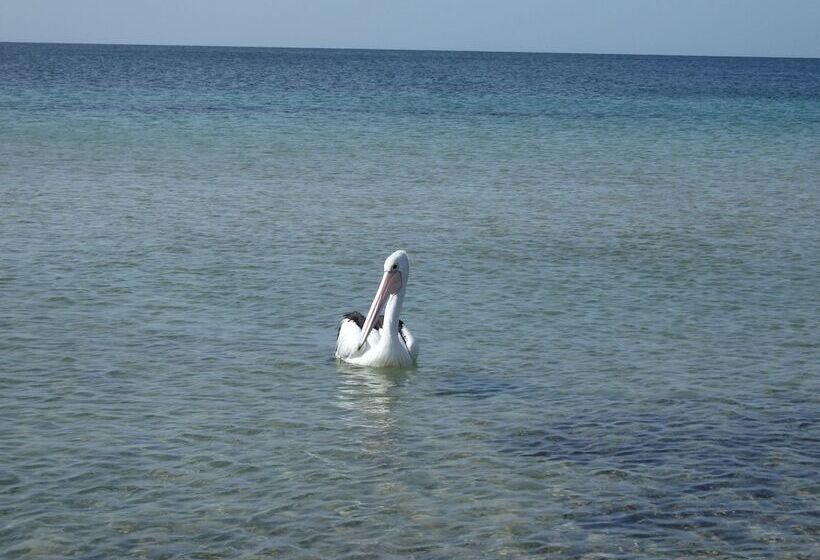 Gilligan S Kangaroo Island