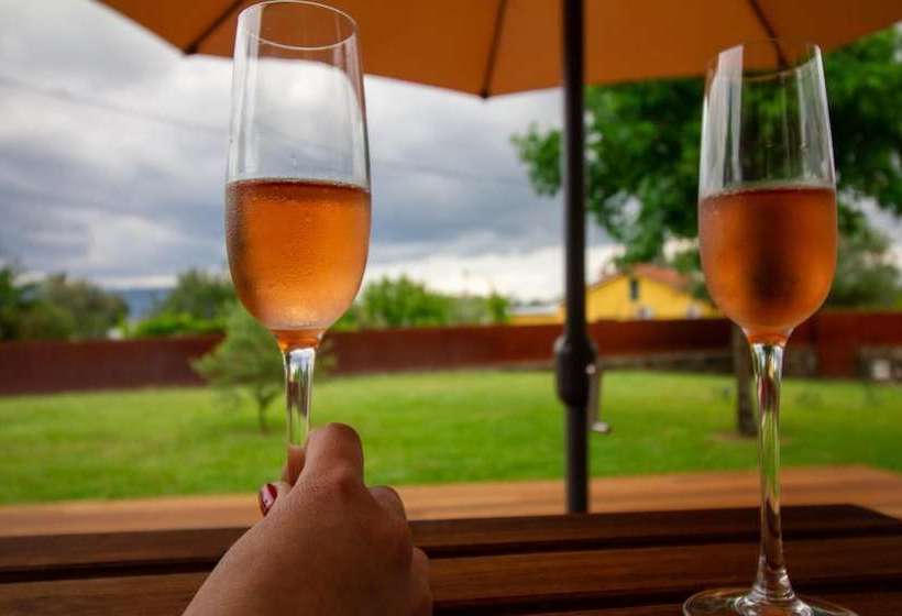 3 Bedrooms House With Enclosed Garden And Wifi At Gondiaes