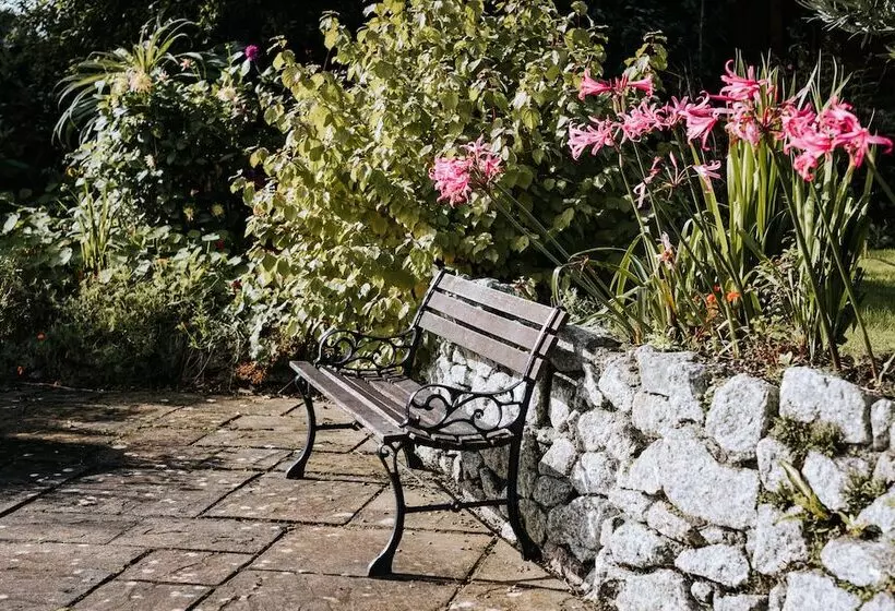 Ivy House Cornwall B&b