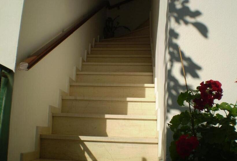 پانسیون Studios Nopi Zoi