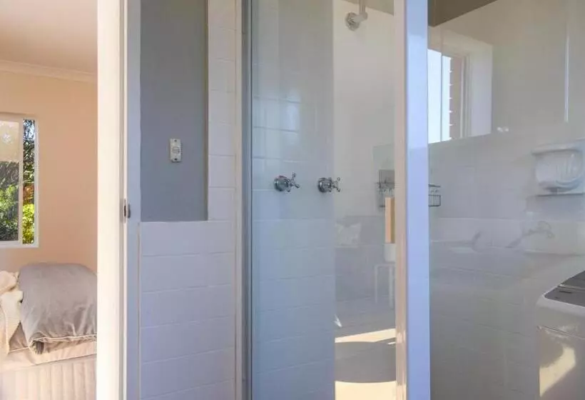 Sun Drenched 1 Bed Studio Apartment In Newtown