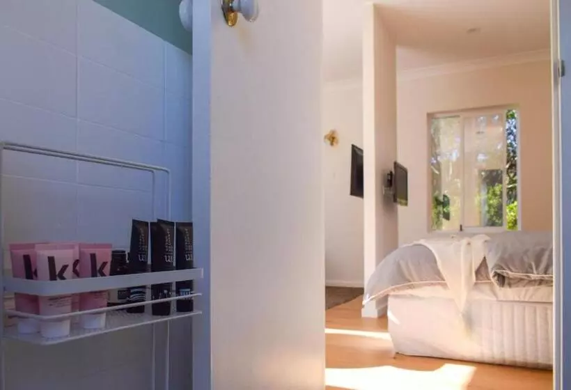 Sun Drenched 1 Bed Studio Apartment In Newtown