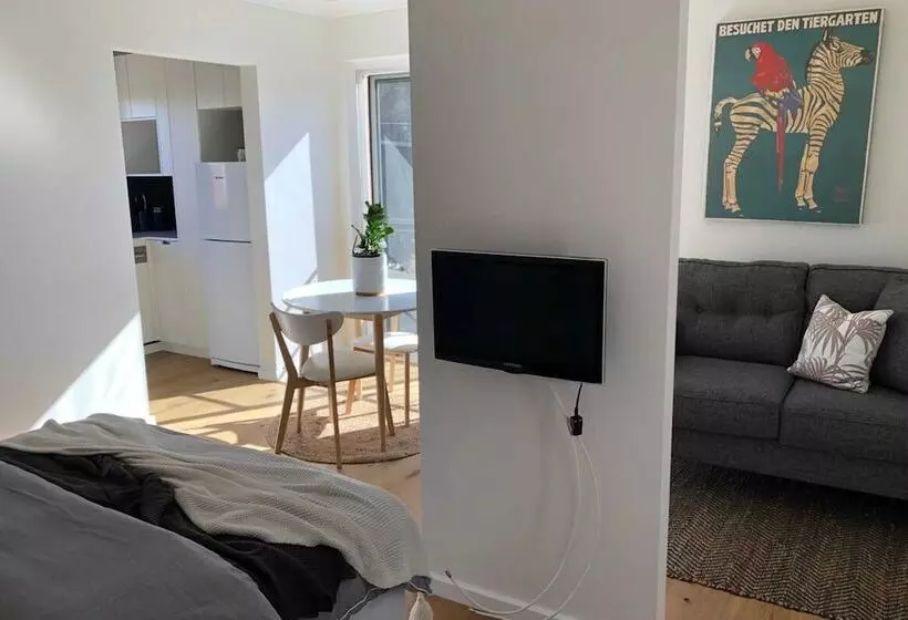Sun Drenched 1 Bed Studio Apartment In Newtown