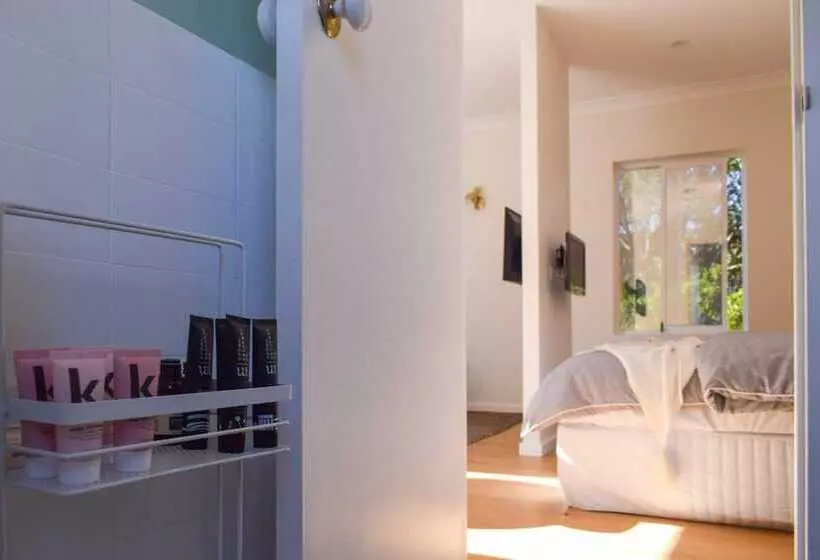 Sun Drenched 1 Bed Studio Apartment In Newtown