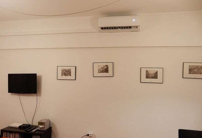 T1 Fernão Magalhães