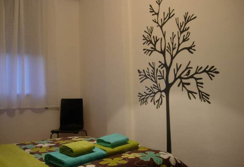 T1 Fernão Magalhães