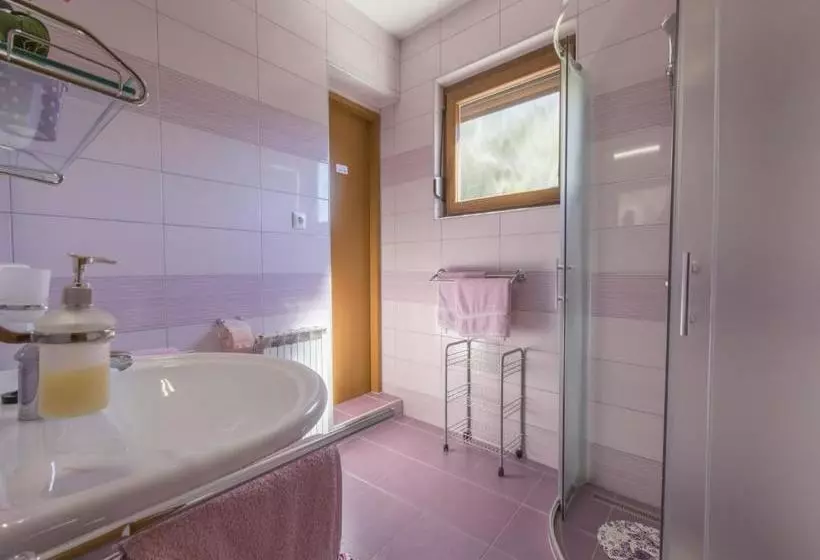 Apartments Sobol