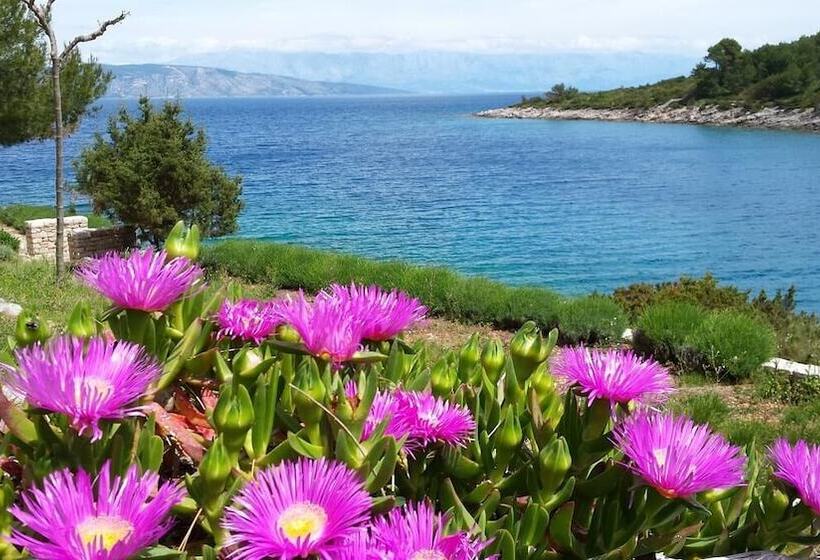 Bay House Rosohotnica