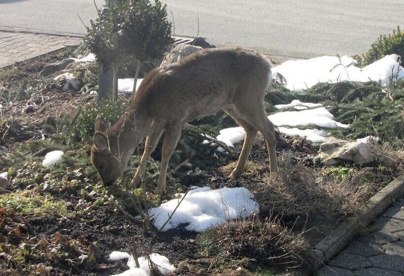 Ferienhaus Marienweg