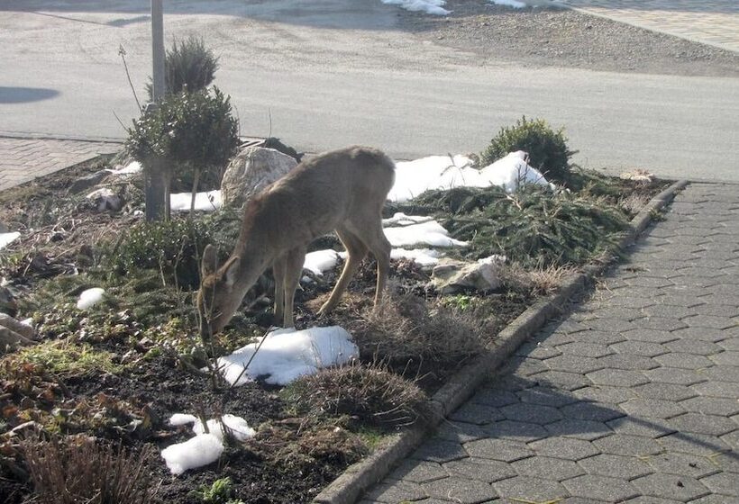 Ferienhaus Marienweg