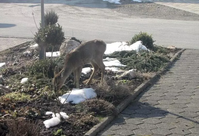 Ferienhaus Marienweg