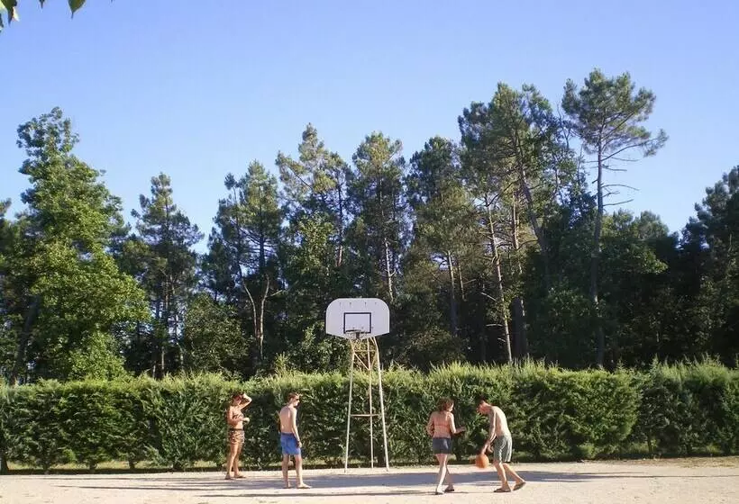 ホテル Camping La Rouviere Les Pins