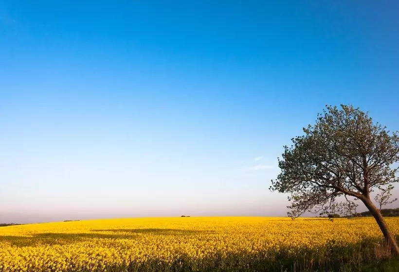 Majatalo Lindenhof Hotel Garni