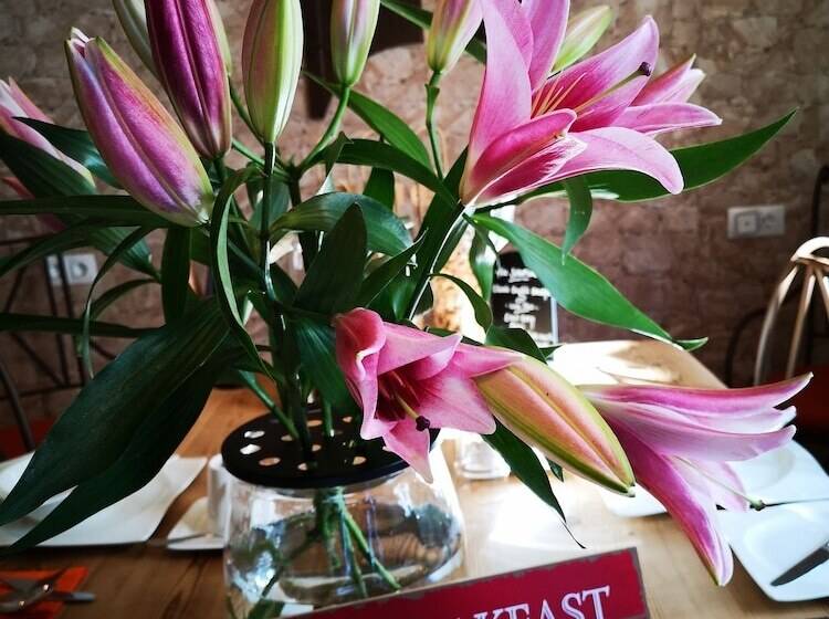 Bed and Breakfast Casa 44