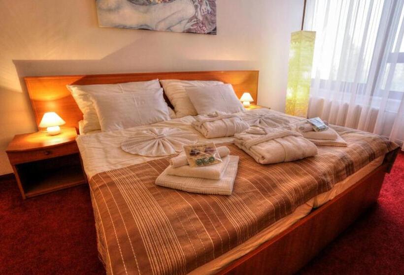 בית מלון כפרי Sorea Trigan