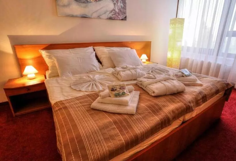 ホテル Sorea Trigan