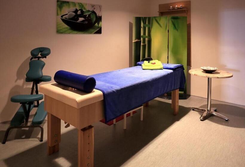 בית מלון כפרי Sorea Trigan