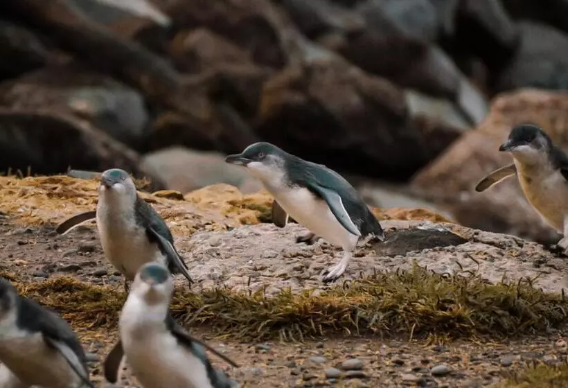 Hotelli The Vicarage Boutique Bed And Breakfast Oamaru