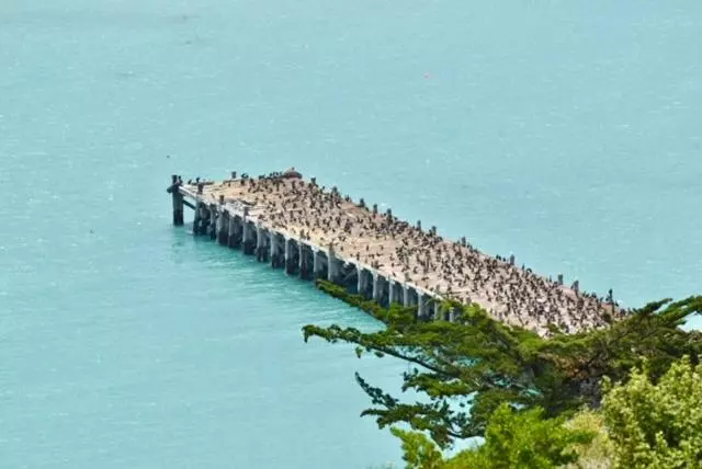 Hotelli The Vicarage Boutique Bed And Breakfast Oamaru