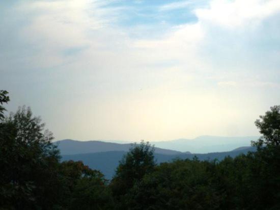 Mountain_roots_lodging