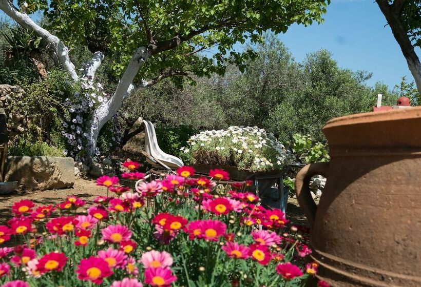 Traditional Cretan Family Home