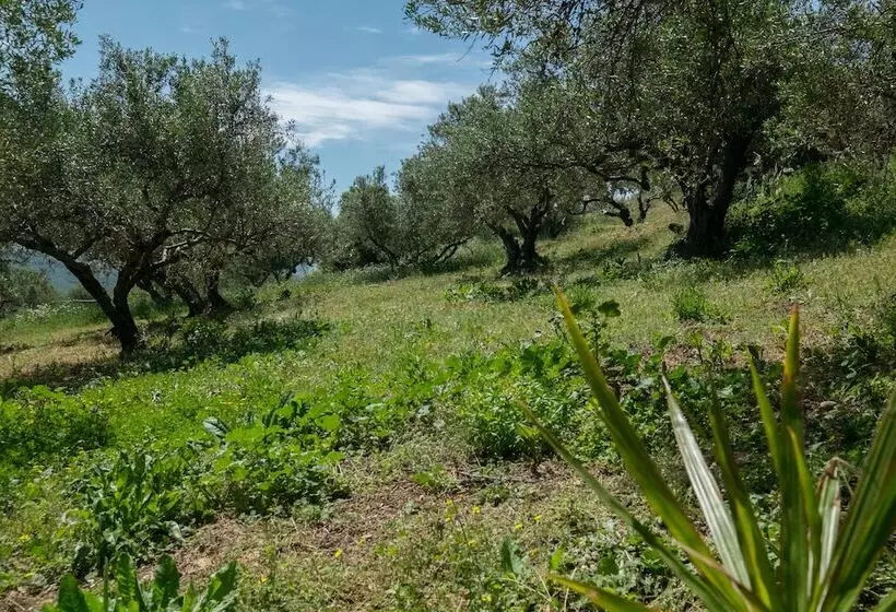 Traditional Cretan Family Home