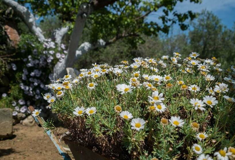 Traditional Cretan Family Home
