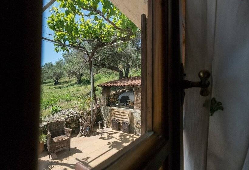 Traditional Cretan Family Home