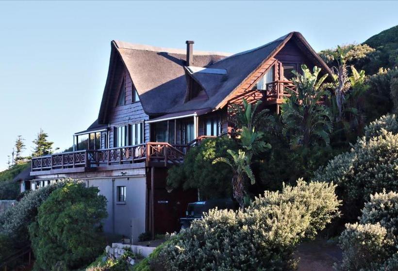 酒店 Oyster Bay Beach Lodge