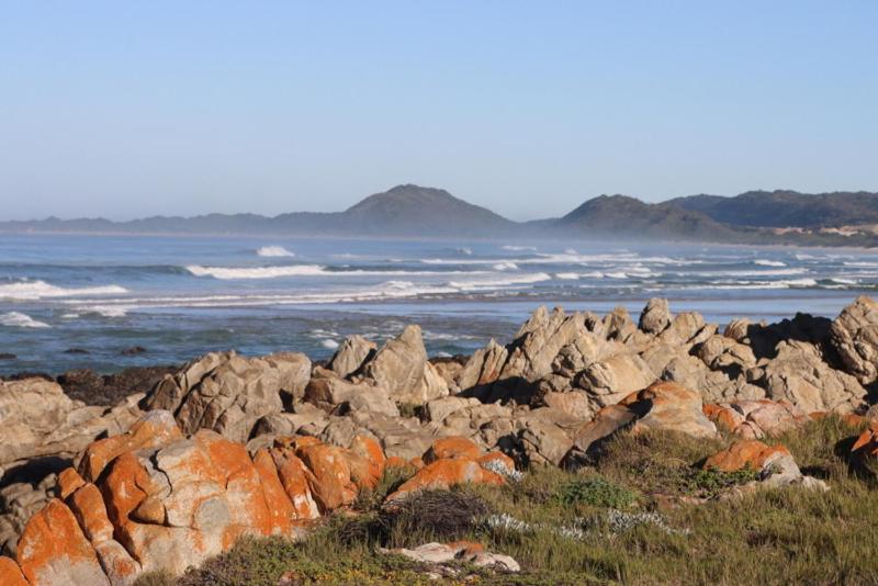 酒店 Oyster Bay Beach Lodge