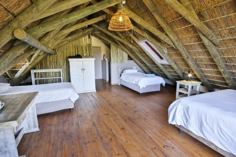 酒店 Oyster Bay Beach Lodge