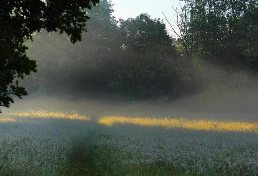 Parkhotel Wienburg Münster