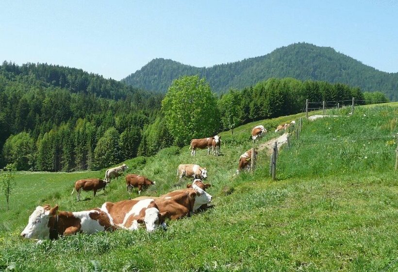 Hotelli Gasthof Jachenau