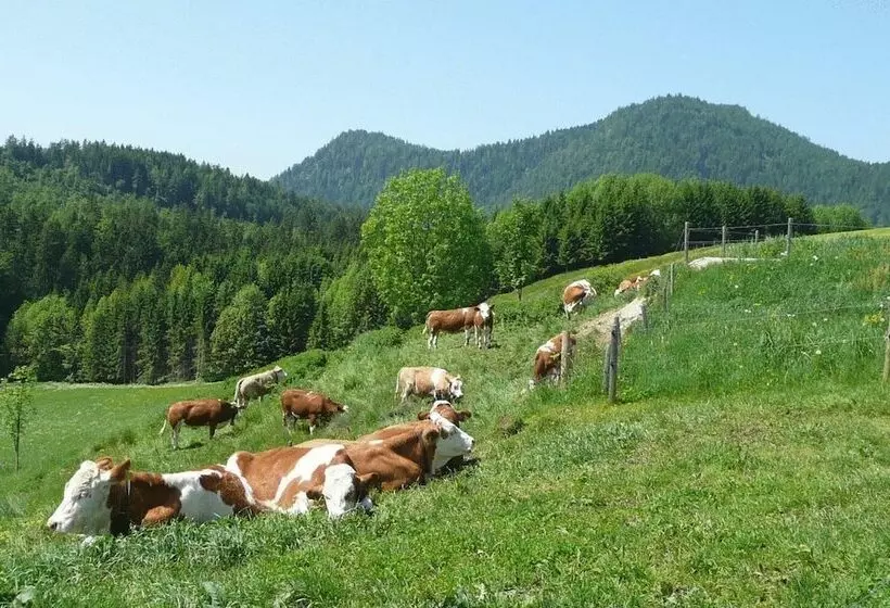 Hotelli Gasthof Jachenau