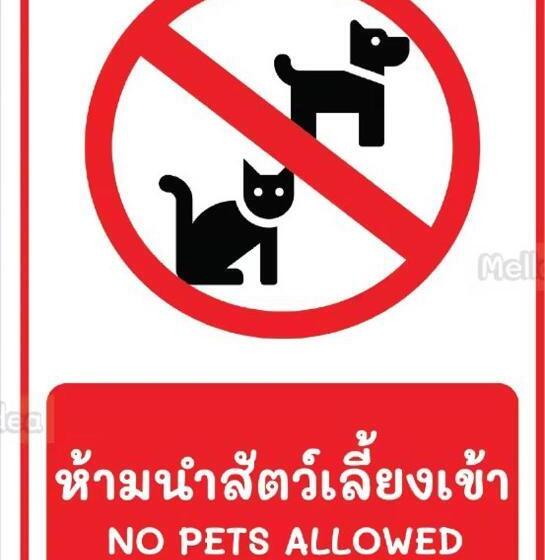 ホテル San Antonio Beach Guesthouse & Restaurant