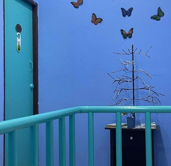 ホテル San Antonio Beach Guesthouse & Restaurant