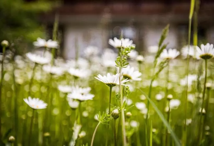 Hotelli Landhaus Weiß