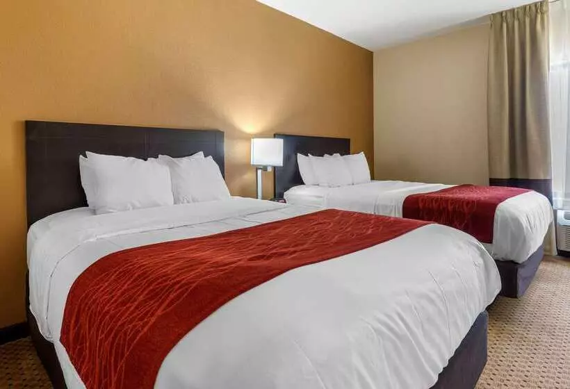 Отель Comfort Inn & Suites Kenosha Pleasant Prairie