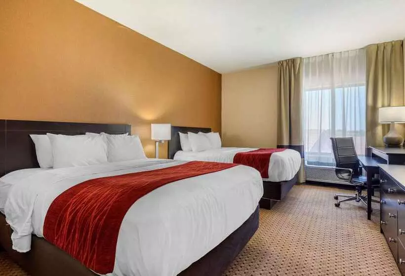 Отель Comfort Inn & Suites Kenosha Pleasant Prairie