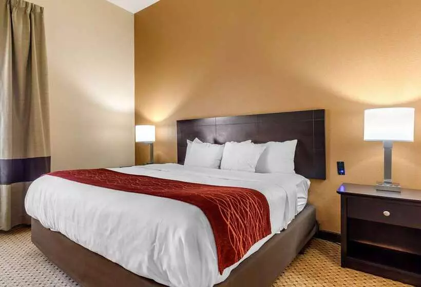 Отель Comfort Inn & Suites Kenosha Pleasant Prairie