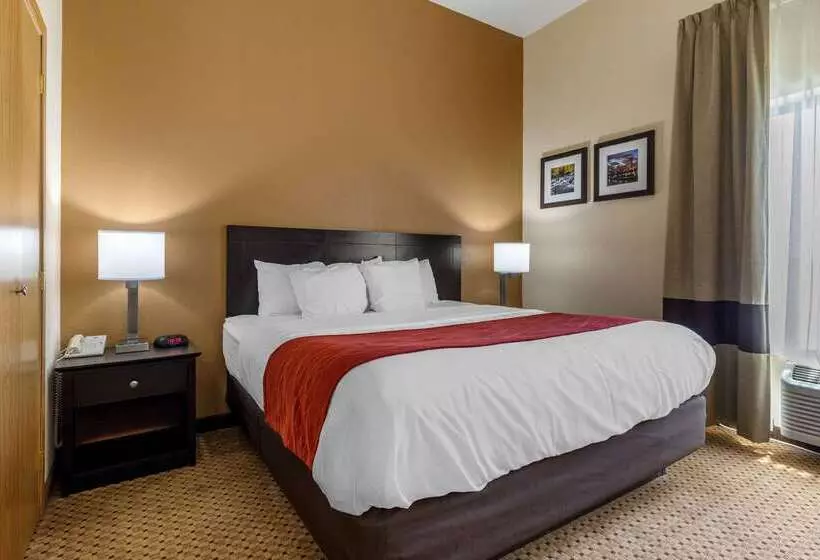 Отель Comfort Inn & Suites Kenosha Pleasant Prairie