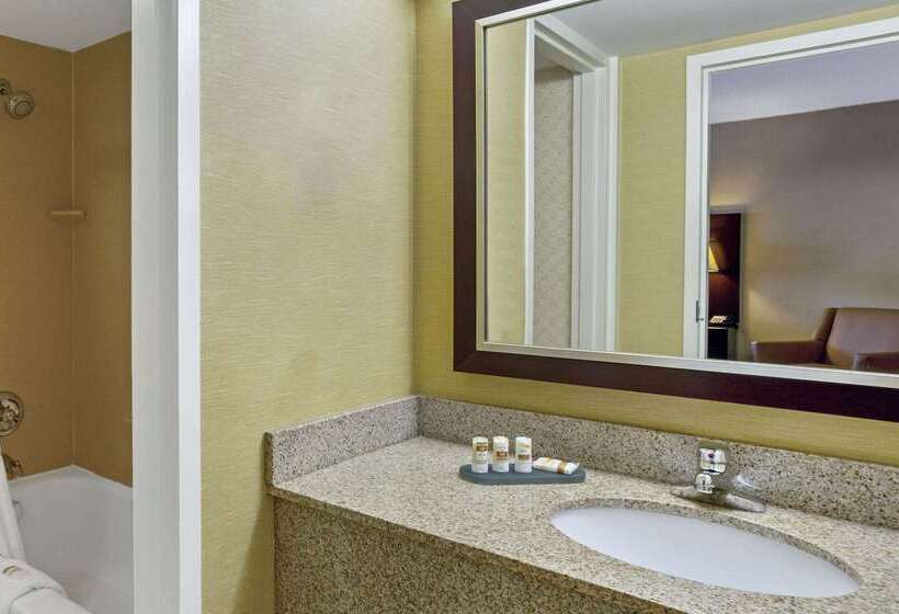 בית מלון כפרי Hampton Inn Manchester Downtown