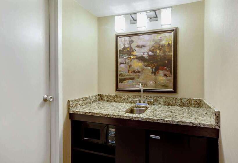 בית מלון כפרי Hampton Inn Manchester Downtown