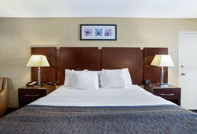 בית מלון כפרי Hampton Inn Manchester Downtown