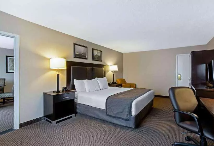 هتل Hampton Inn Manchester Downtown
