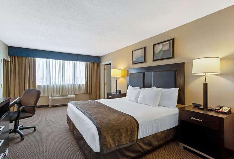 בית מלון כפרי Hampton Inn Manchester Downtown