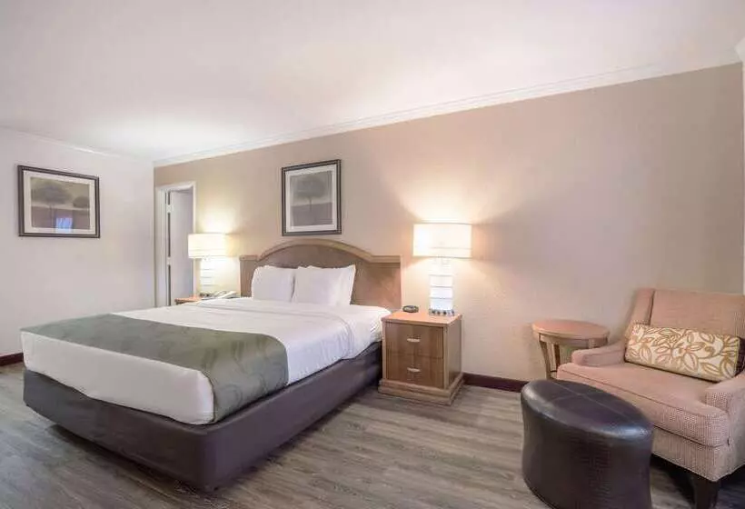 Hotelli Quality Inn & Suites Lake Havasu City