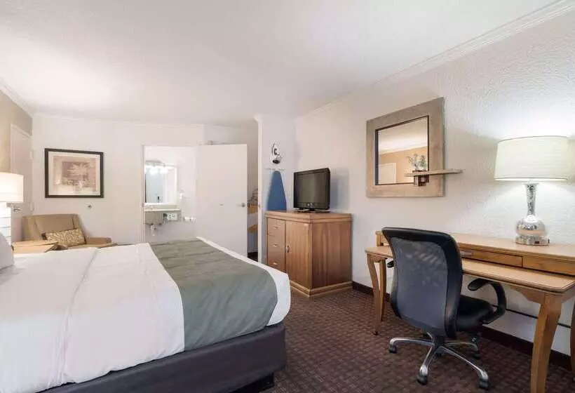 Hotelli Quality Inn & Suites Lake Havasu City